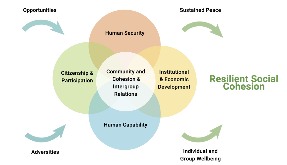 IMG_SeeD_SCORE Content Framework.png